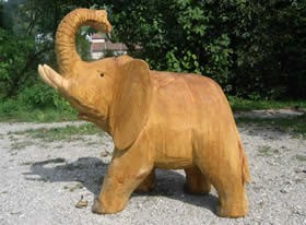 elefant6