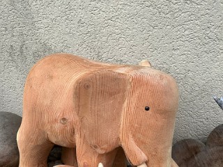 elefant